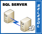 SeleSQL: Gestione di messaggi provenienti da SQL Server, Portali Internet, etc..